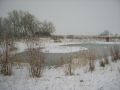 Frozen pond in the conservation area (Christine Howard)