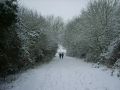 A walk in the snow near Watsons Lane (Christine Howard)